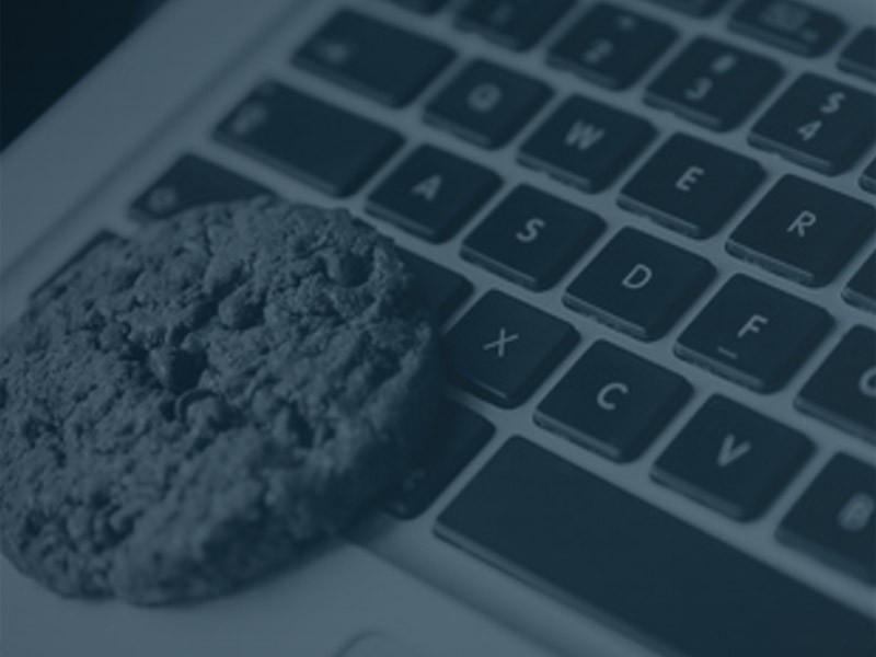 Utilisation des cookies au sein de Berger Location